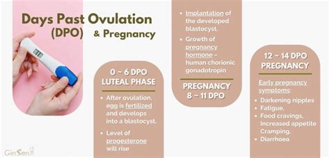 5dpo cm|5 days past ovulation symptoms.